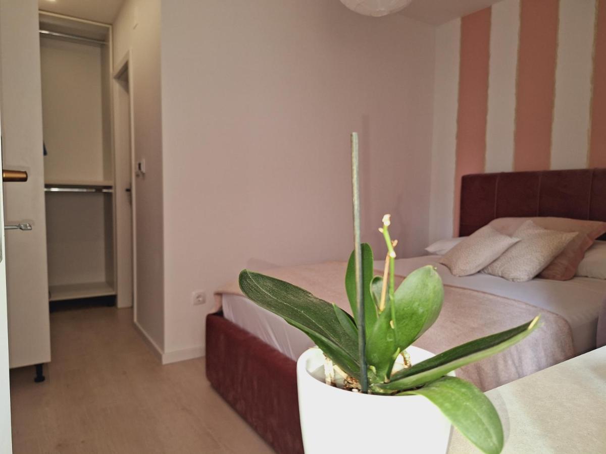 شقة Apartman Maja **** شيبينيك المظهر الخارجي الصورة